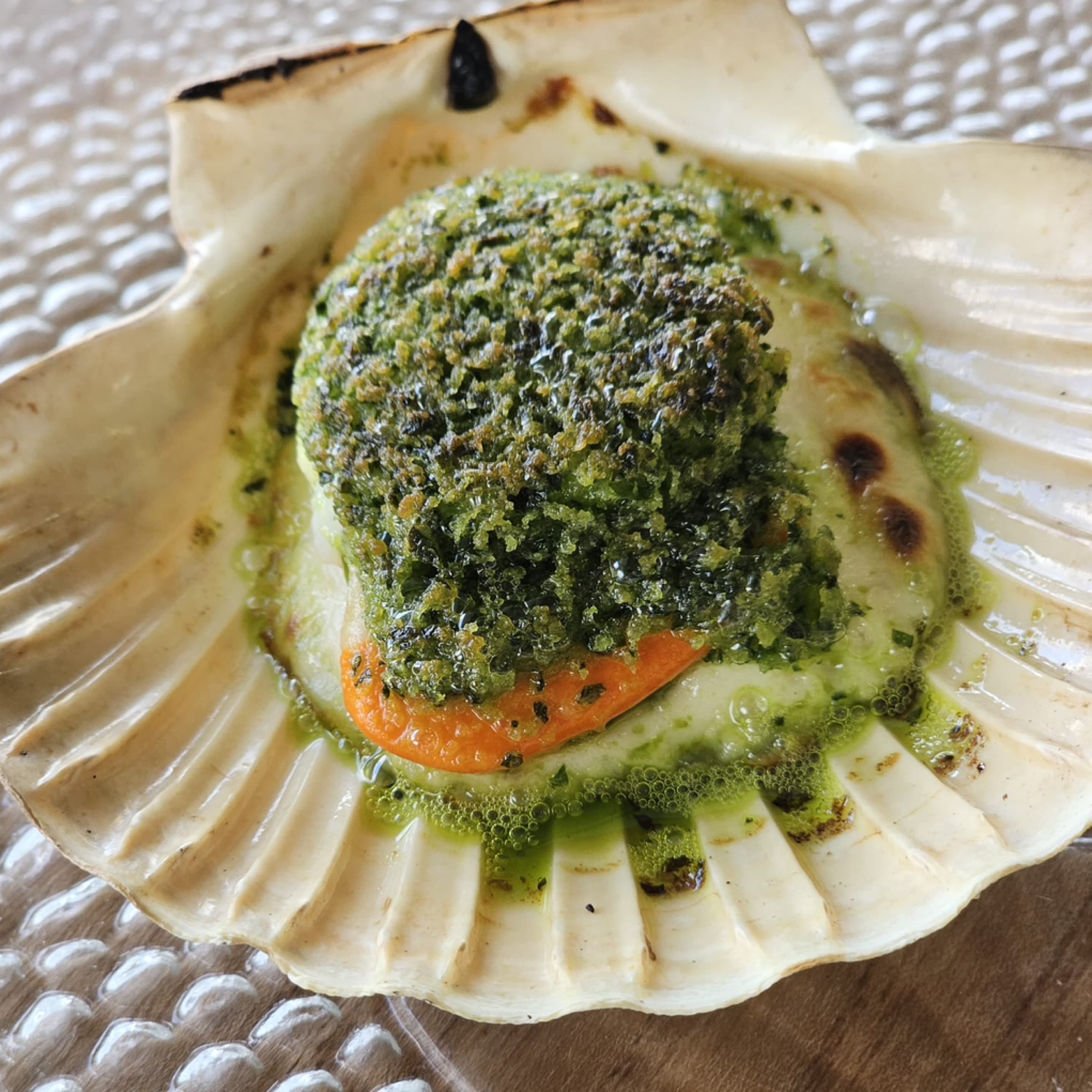 Mornay & herb scallop