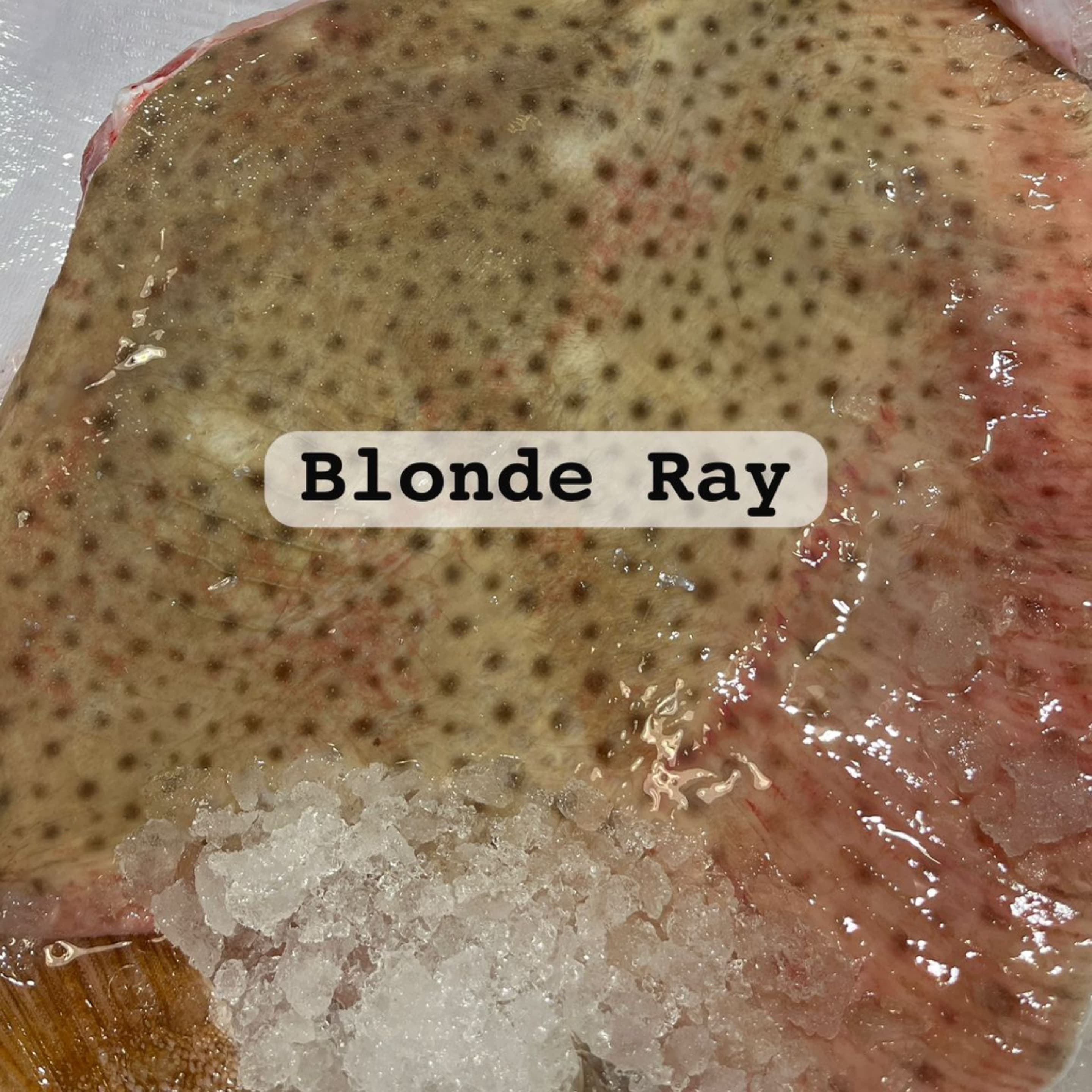 Blonde Ray Wing