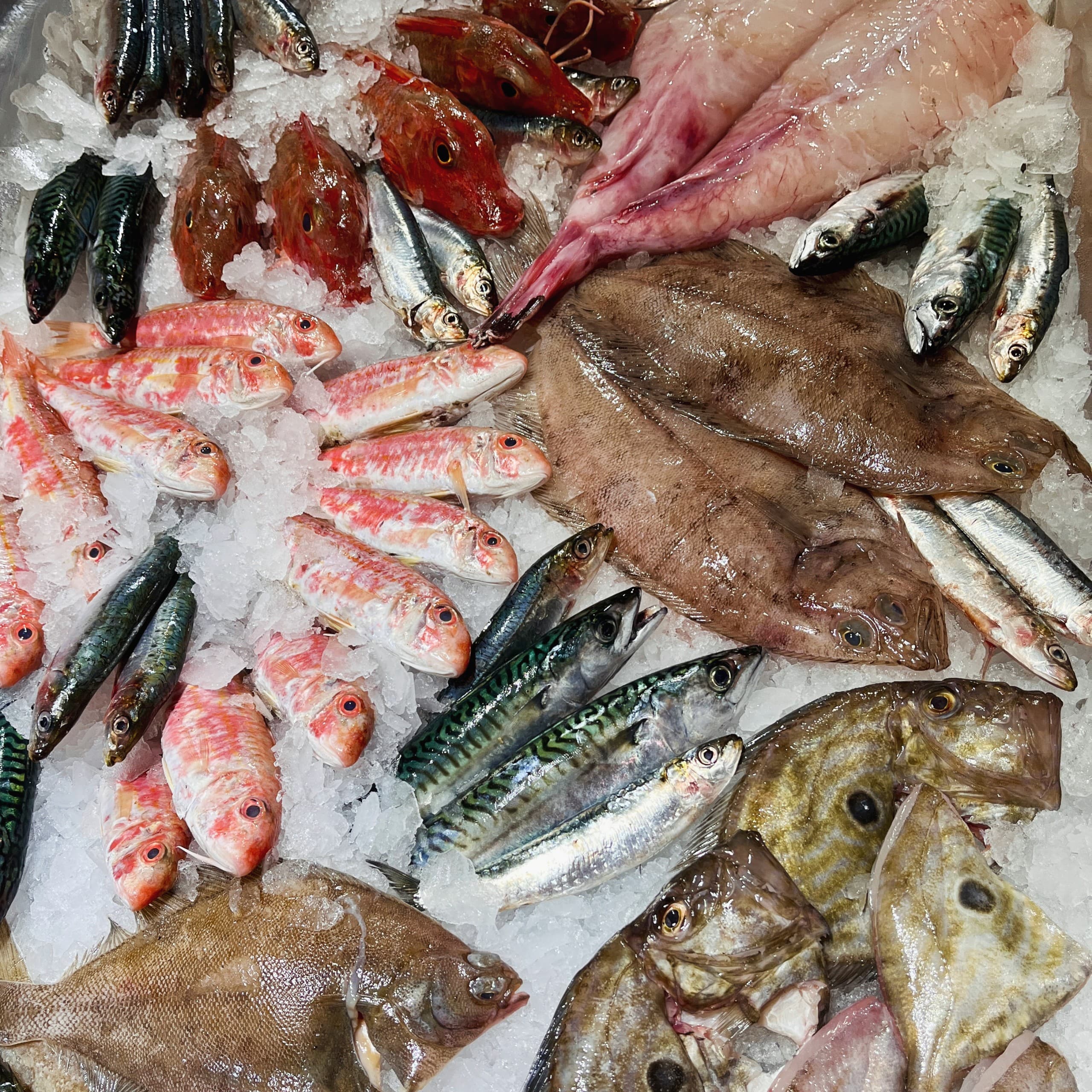 Pysk fish box
