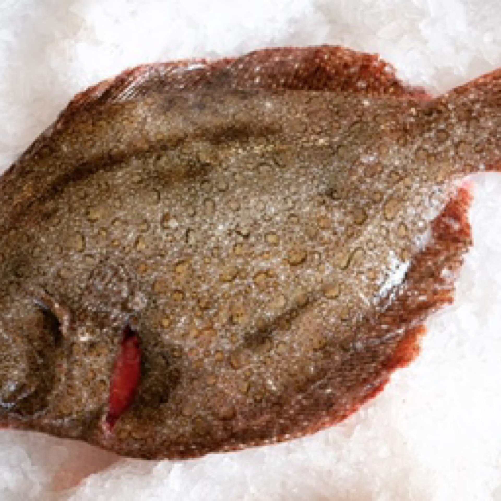 Fish Box (Truro TR1 postcodes) — image 1