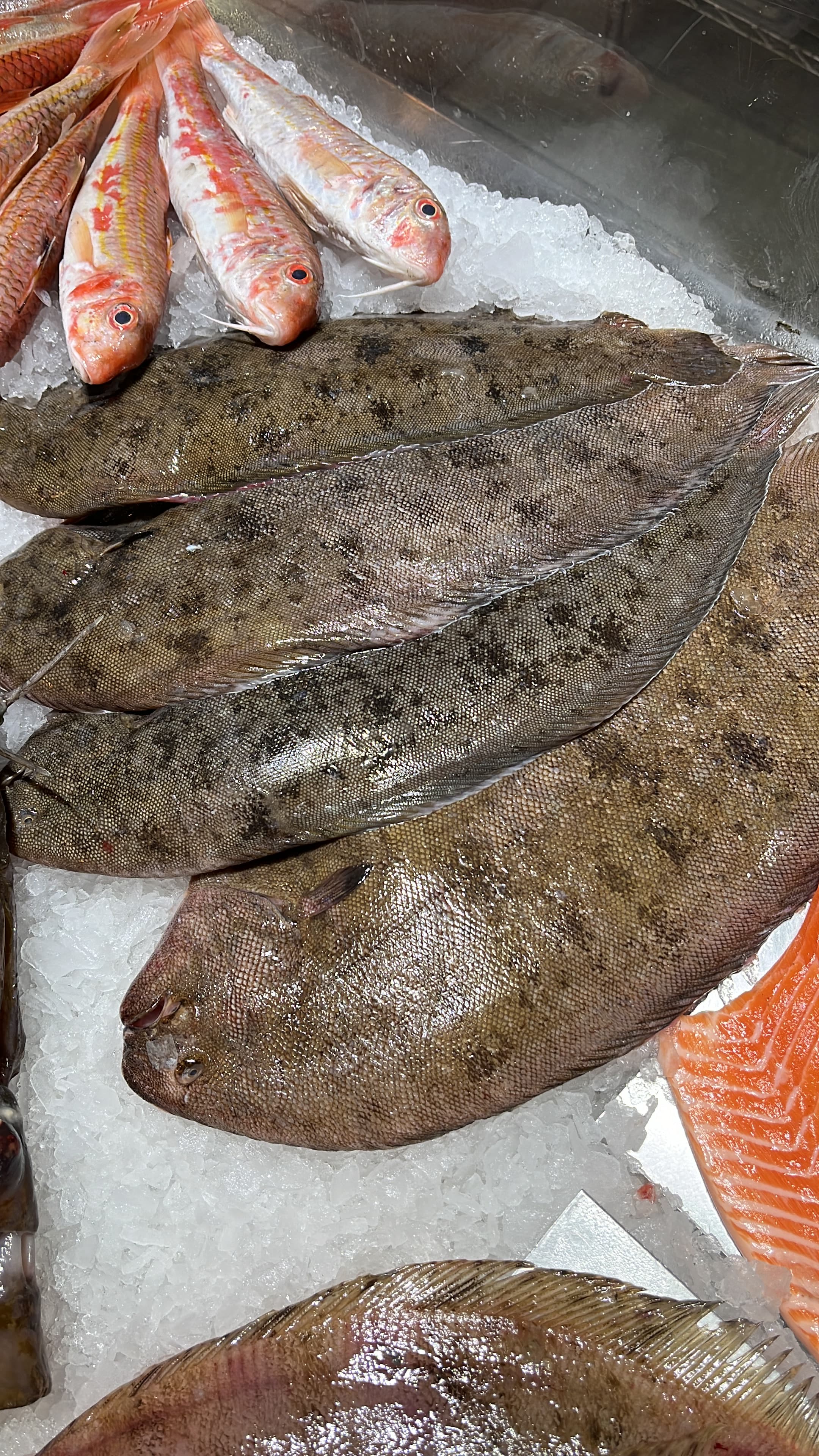 Dover sole