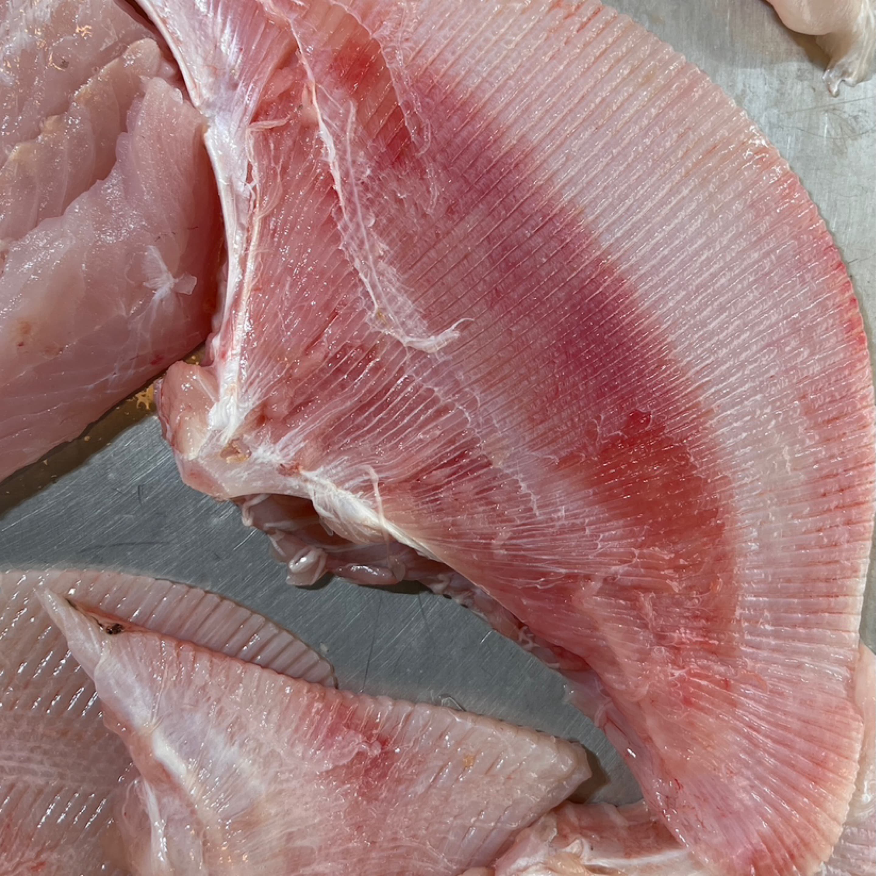 Blonde Ray Wing
