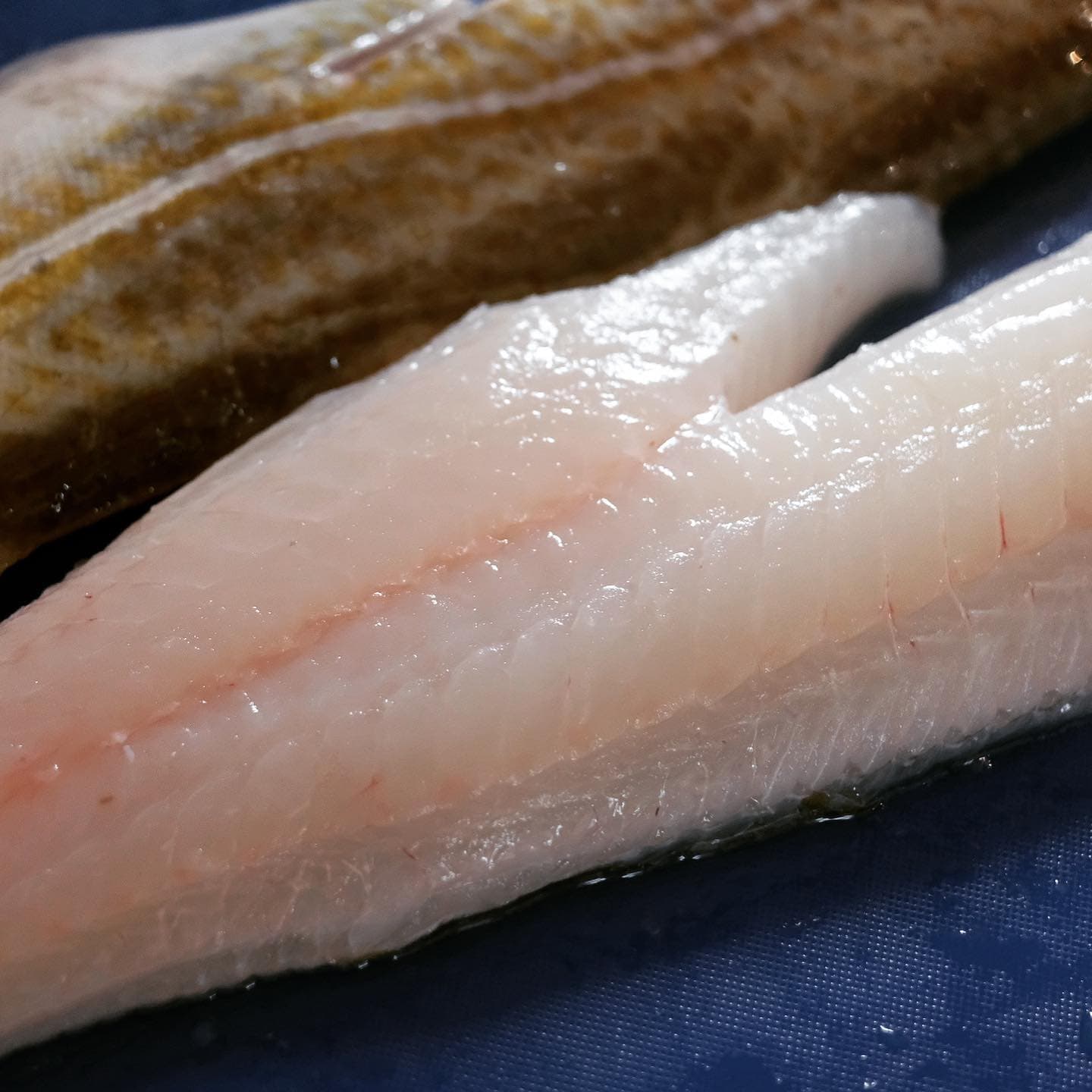 Cod